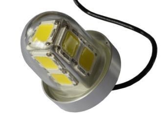 Lumière de pêche sous-Marine - Lumière d'appât LED de pêche étanche -  Outils de pêche de Nuit Polyvalents pour l'eau Douce, l'eau salée, Les  étangs et